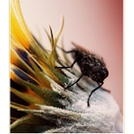 ... po mrazíku III.