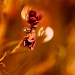 ...malé drobnosti...