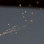 ...Malé drobnosti....