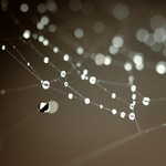 ..Pavoučí navlékání...