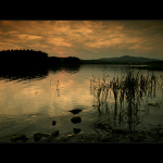 ..z toulek po Čechách..