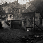 ... u sousedů na dvorku ...