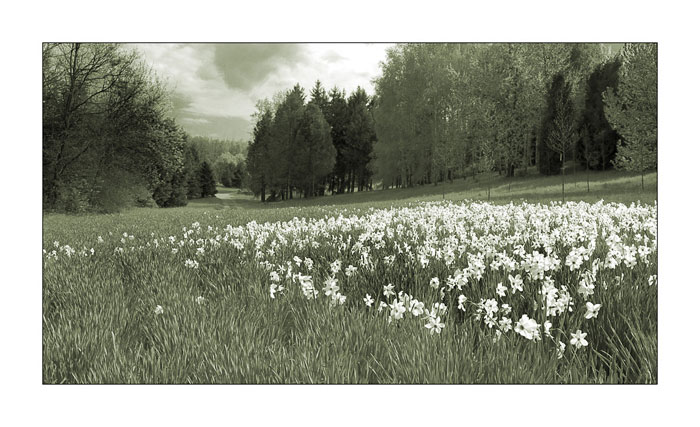Arborétum Mlyňany
