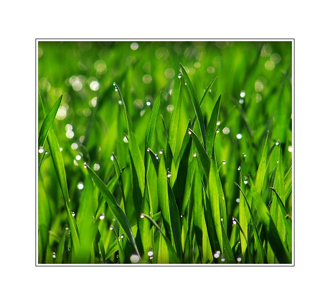 V klidu a bezvětří (I.)