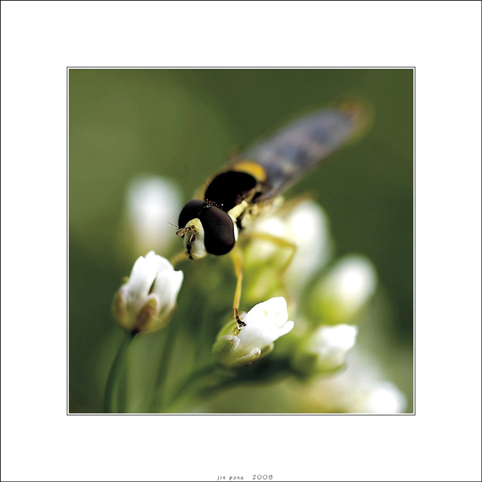 ... aj tento je prázdny ?! ...