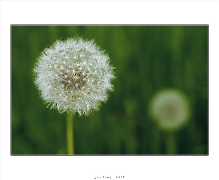 ... geometria ...