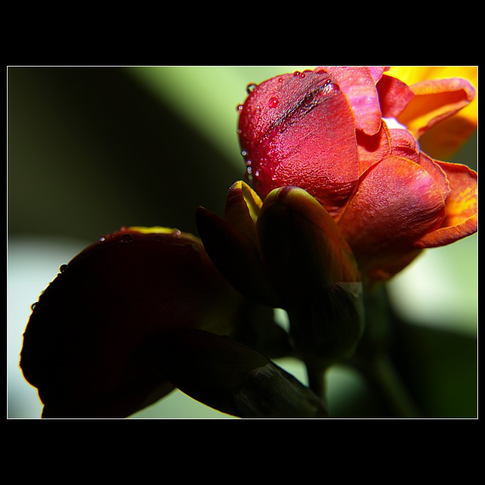 Den a noc..