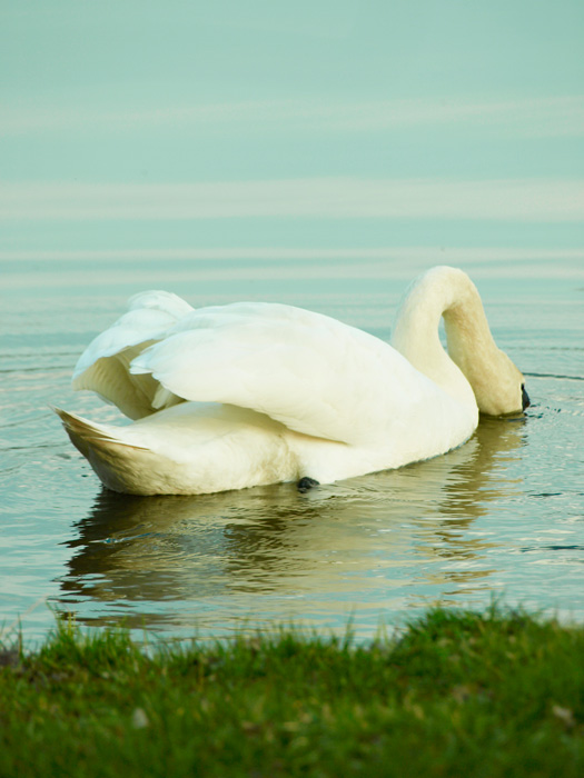 Hallooo je tam někdo ???