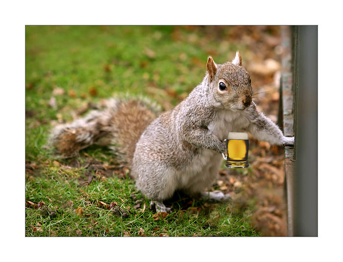 Cau kámo!!! na pivo??? :-)