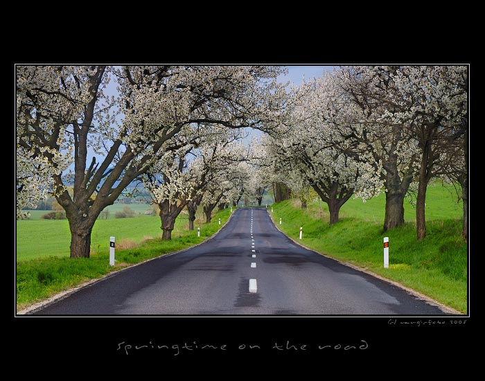 Springtime on the road