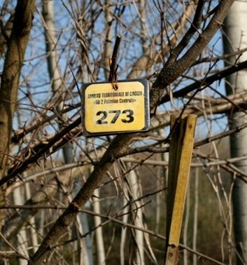 no.273...