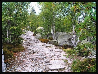 "Kamenné/zelené moře"