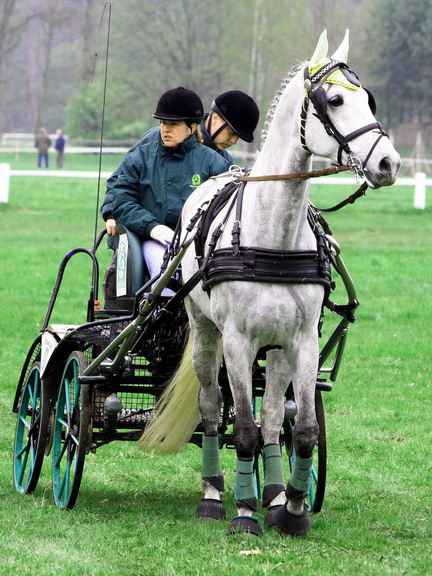 Rudolfův pohár - MARATÓN_2