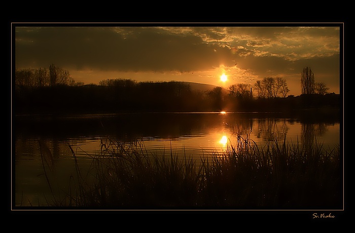 Rackové přilétají...