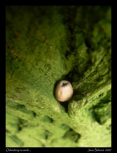 Odsúdený na zánik...