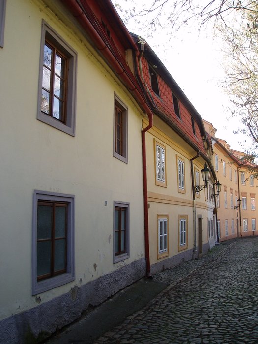 Nový svět