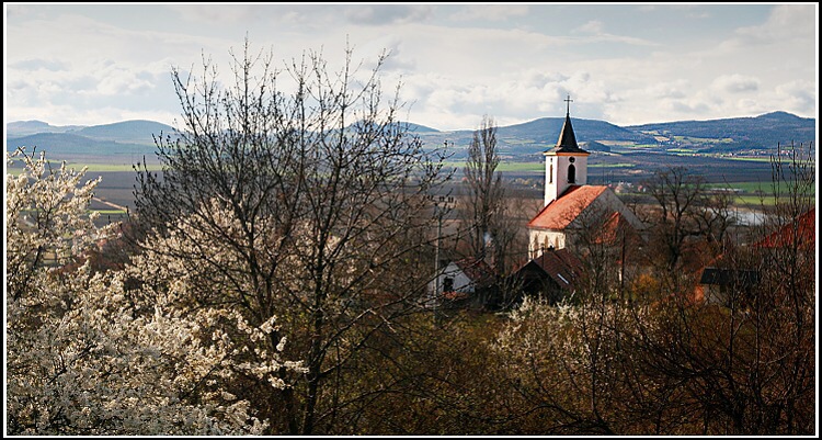 Jaro pod Hazmburkem.