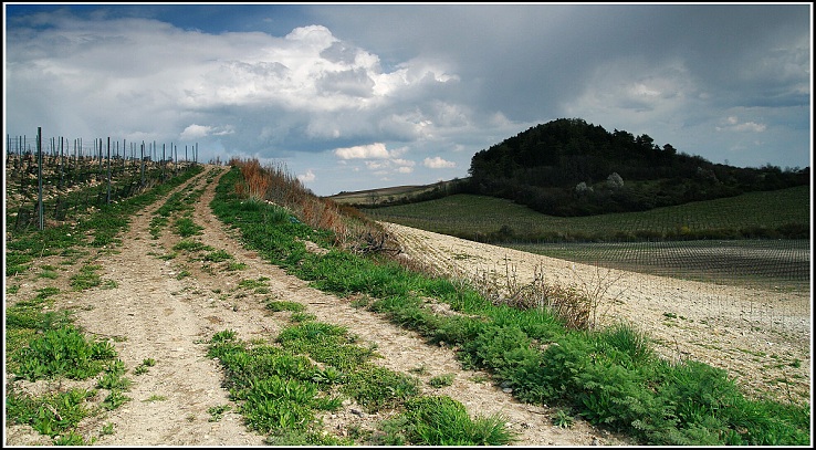Také jedna ze Středohoří.