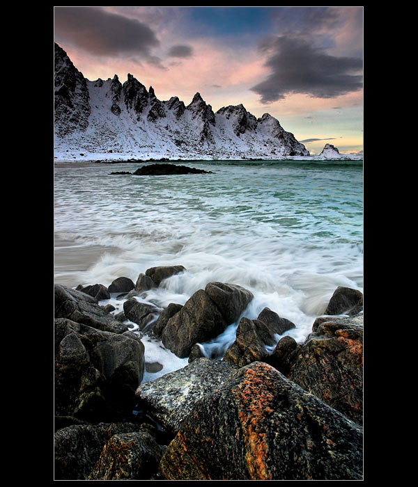 Arctic