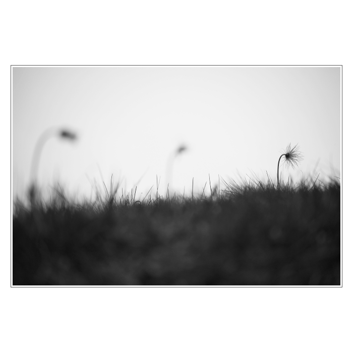 Krtečkovy větrné elektrárny