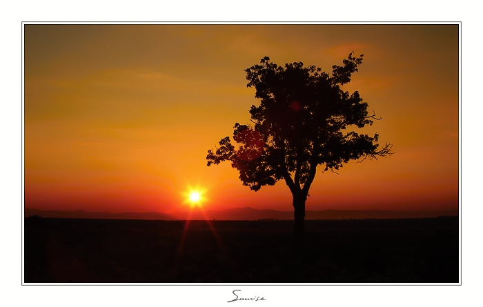 sunrise