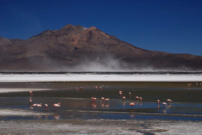Salar de Surire III