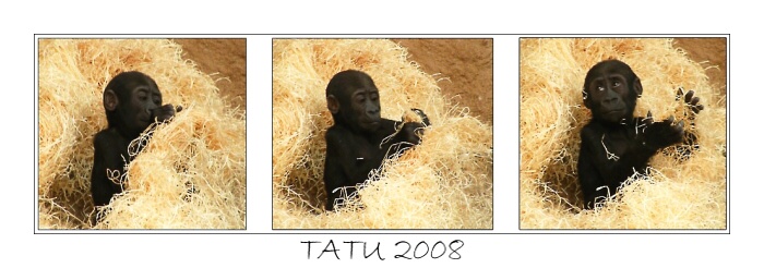 Malý Tatu :o)