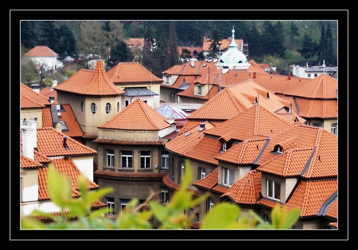 Střechy a stříšky