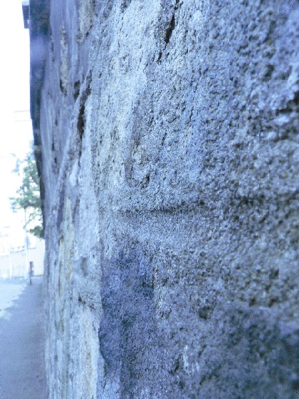 Muuri