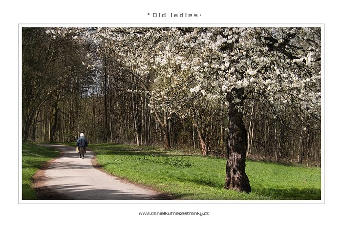 -[Old ladies]-