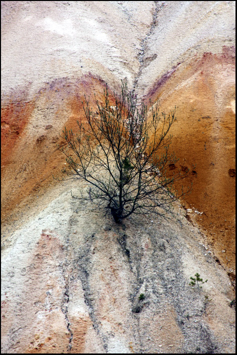 z jedné vzdálené pouště