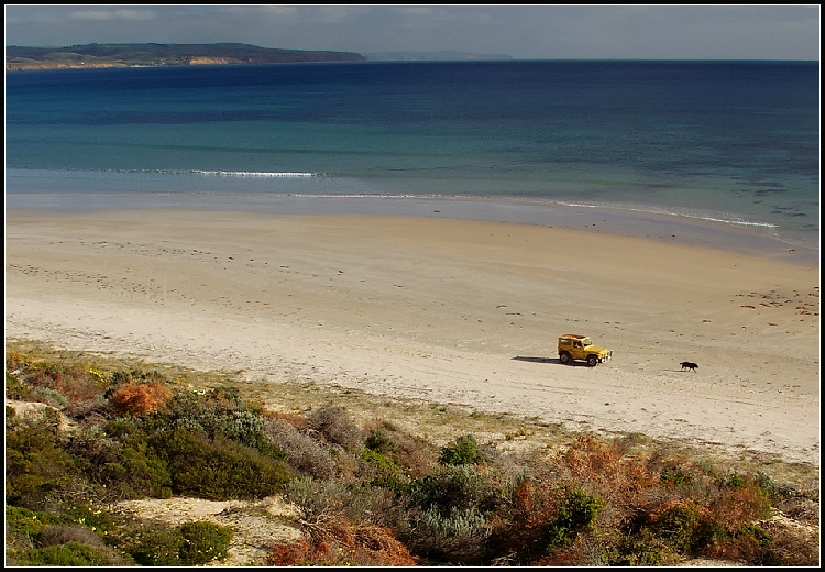 Na procházce se psem