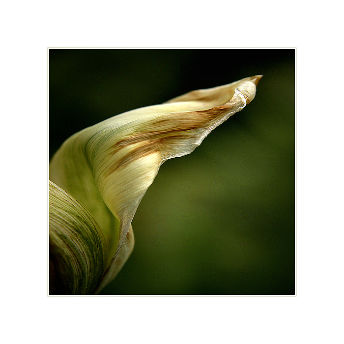 ...přichází konec...