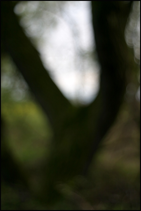 Život bez brýlí I