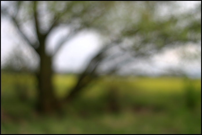 Život bez brýlí II