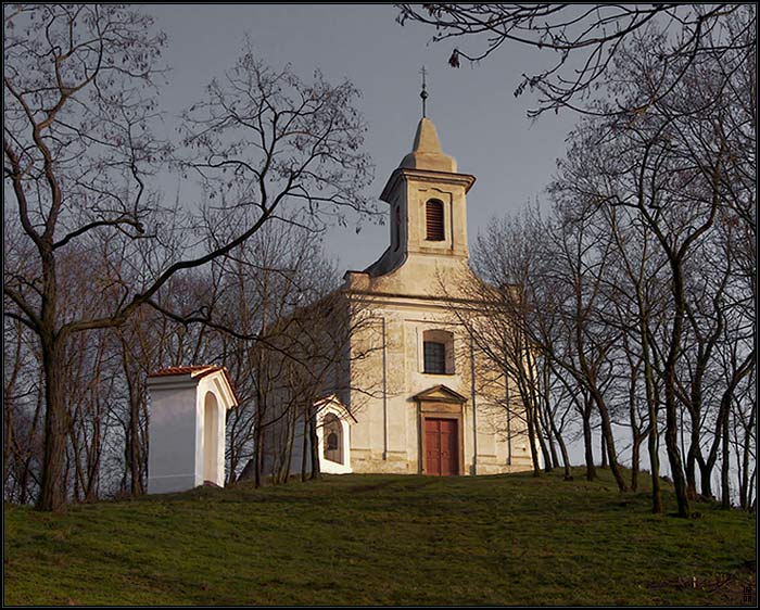 ...předjaří na kopečku...