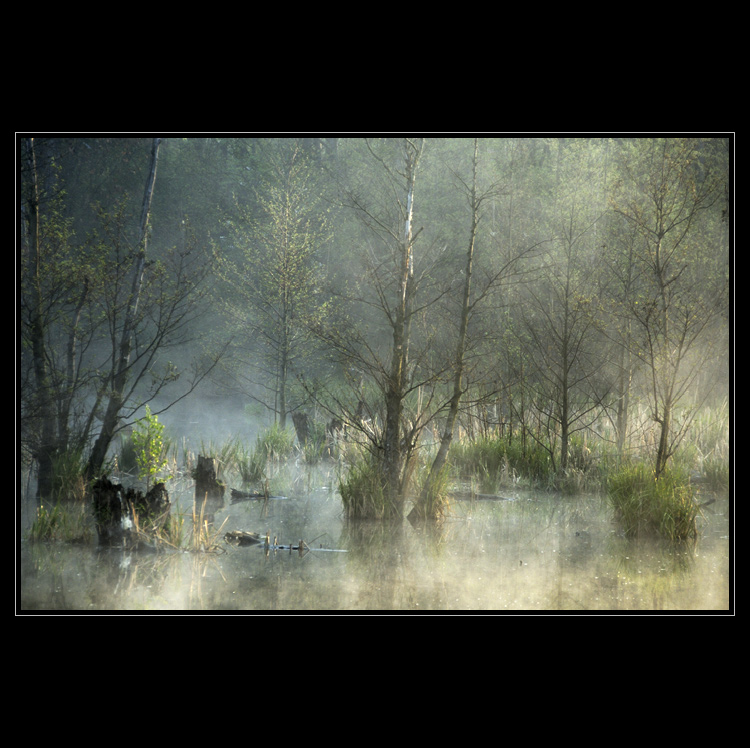 Pohled pod pokličku I.