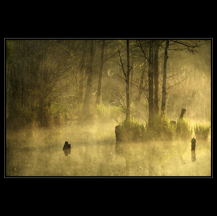 Pohled pod pokličku II.