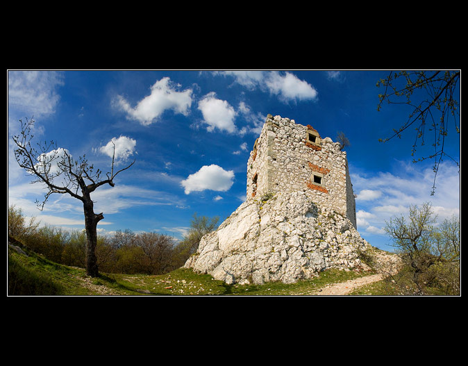Děvičky