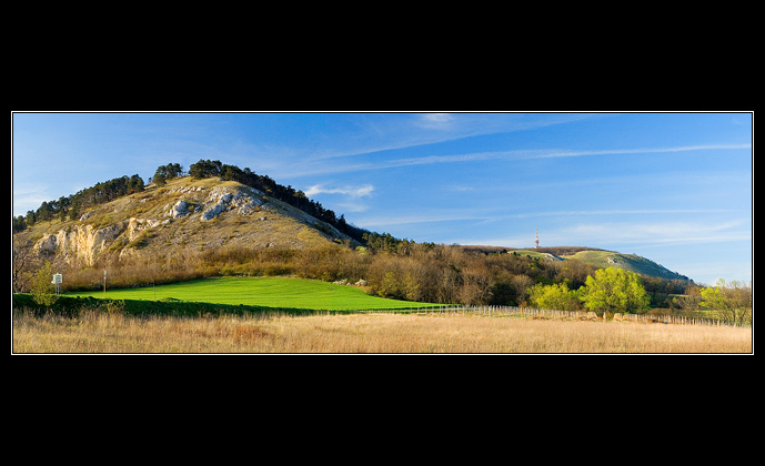 Pálava