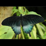 .: KE STARTU PŘIPRAVIT.. :.