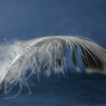 Křehký most přes minulost