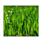 V klidu a bezvětří (I.)