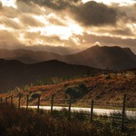late afternoon, late autumn