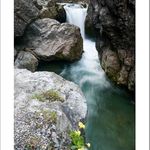 U zeleného potoka...