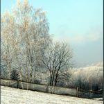 Ještě zimní