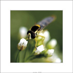 ... aj tento je prázdny ?! ...