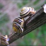 ..........a kde jsou závodníci..........