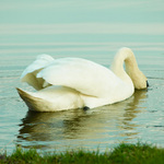 Hallooo je tam někdo ???