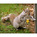 Cau kámo!!! na pivo??? :-)